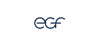 egf – Eduard G. Fidel GmbH