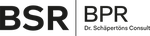 BPR Dr. Schäpertöns Consult GmbH & Co. KG